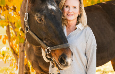 Denver Equestrians Riding School 